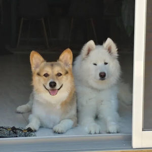 Meet your Posher, Peggy